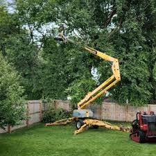 Best Lawn Irrigation Installation and Maintenance  in Sam Rayburn, TX